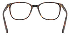 DOLCE & GABBANA DG3426 502 53 - Havana #id:dg3426502_s:104115