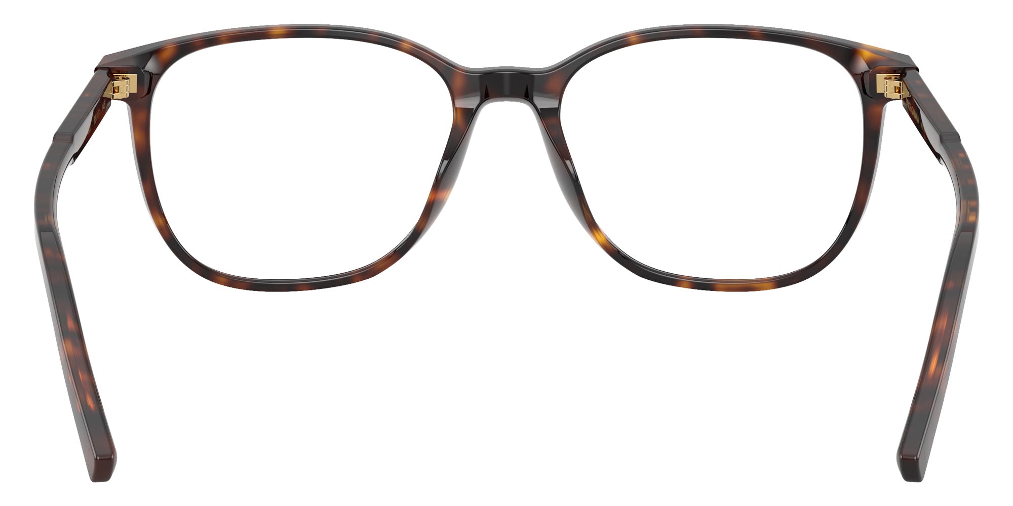 DOLCE & GABBANA DG3426 502 53 - Havana #id:dg3426502_s:104115