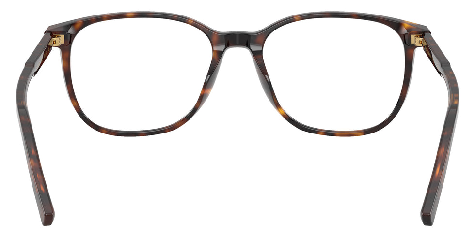 DOLCE & GABBANA DG3426 502 53 - Havana #id:dg3426502_s:104115
