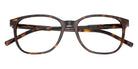 DOLCE & GABBANA DG3426 502 53 - Havana #id:dg3426502_s:104120
