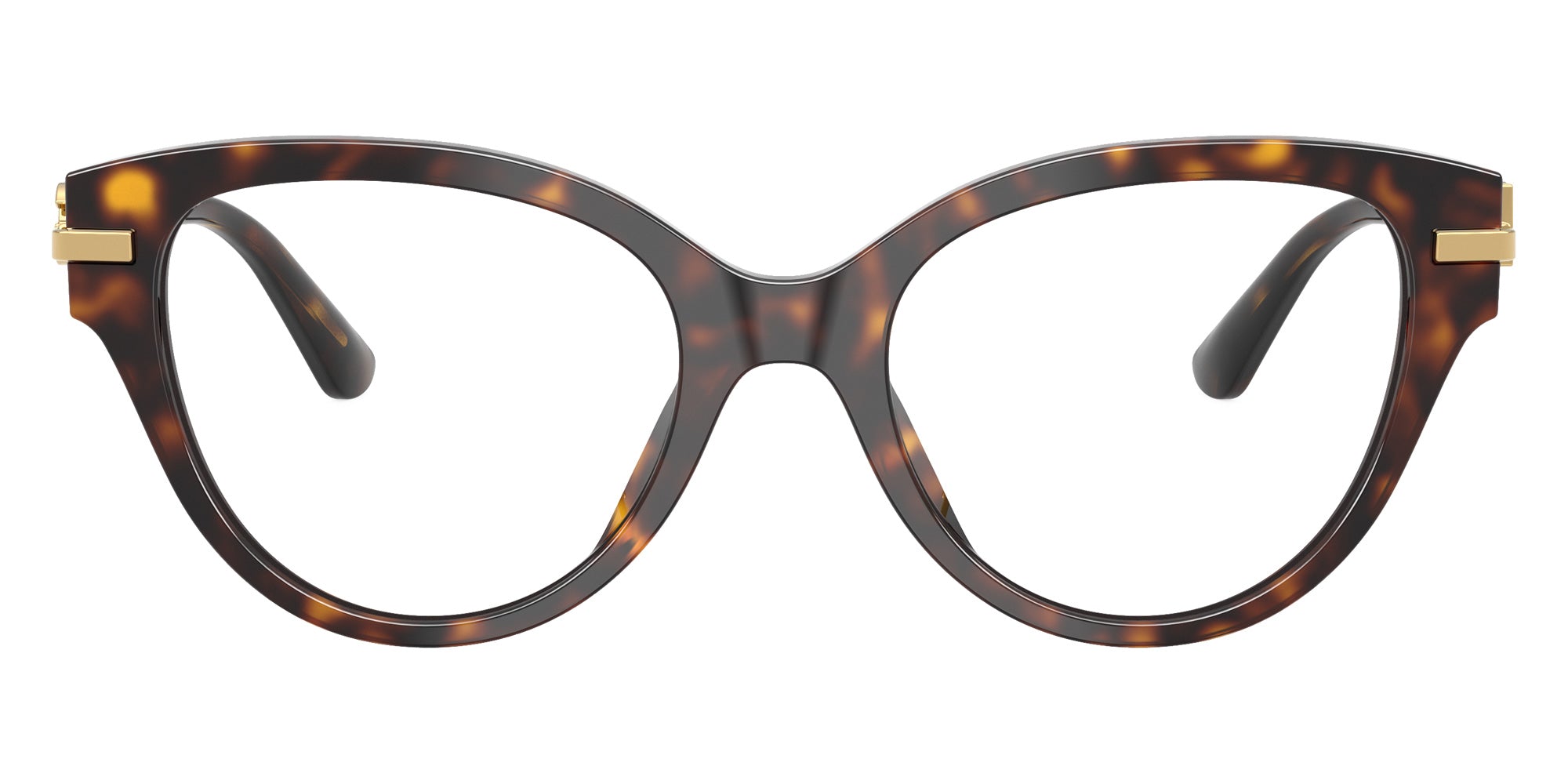 DOLCE&GABBANA DG3438 502 51 - Havana #id:dg3438502_s:116120