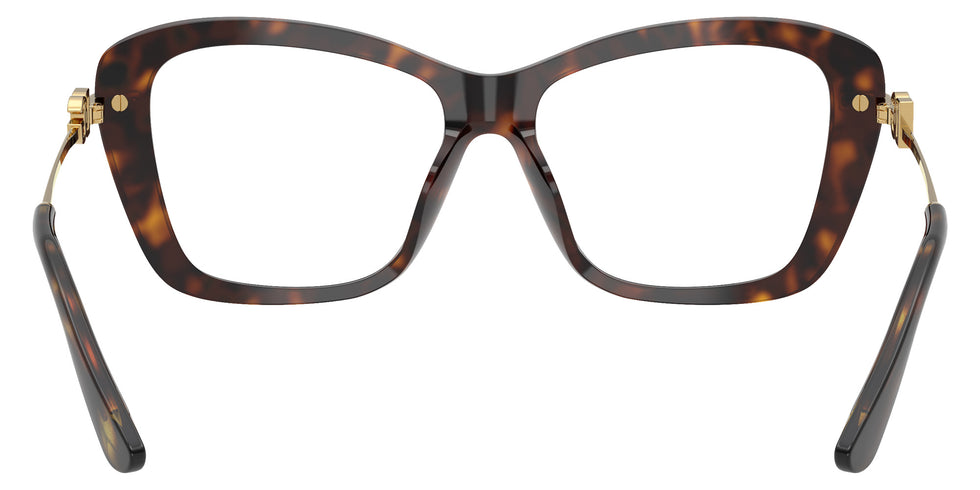 DOLCE&GABBANA DG3439 502 53 - Havana #id:dg3439502_s:116115