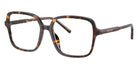 DOLCE&GABBANA DG3442 502 53 - Havana #id:dg3442502_s:112105