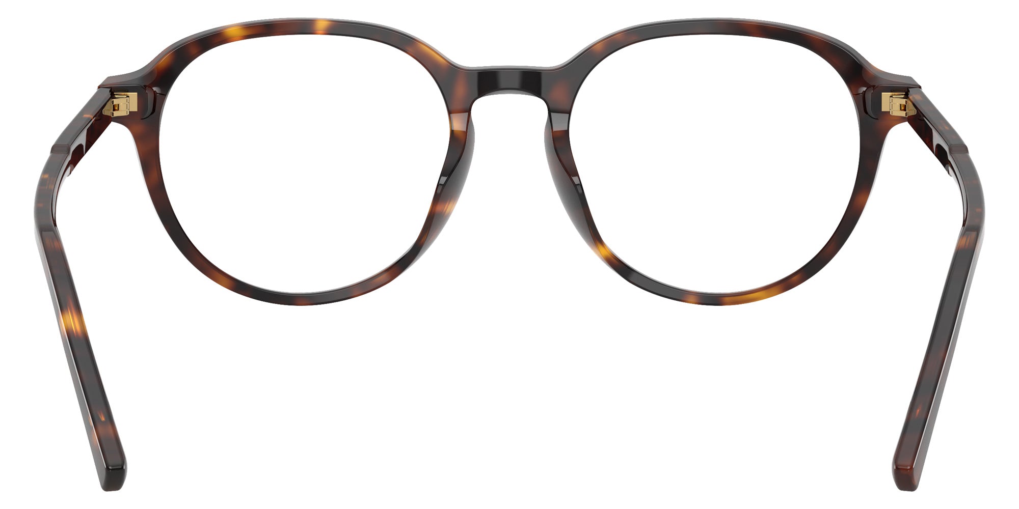 DOLCE&GABBANA DG3444 502 50 - Havana #id:dg3444502_s:116115