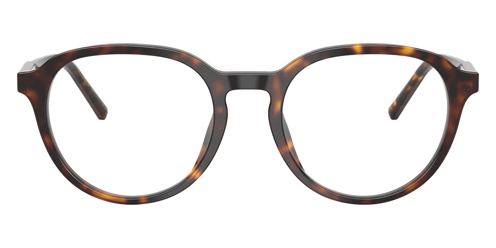 DOLCE&GABBANA DG3444 502 50 - Havana #id:dg3444502_s:116120