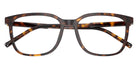 DOLCE&GABBANA DG3445 502 53 - Havana #id:dg3445502_s:116100