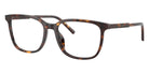 DOLCE&GABBANA DG3445 502 53 - Havana #id:dg3445502_s:116105