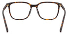 DOLCE&GABBANA DG3445 502 53 - Havana #id:dg3445502_s:116115