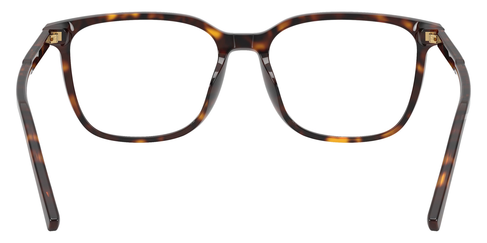 DOLCE&GABBANA DG3445 502 53 - Havana #id:dg3445502_s:116115