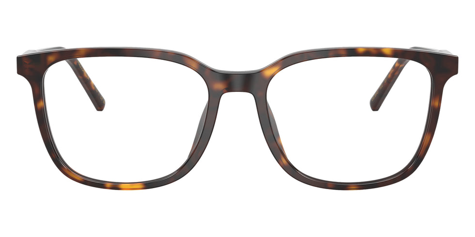 DOLCE&GABBANA DG3445 502 53 - Havana #id:dg3445502_s:116120
