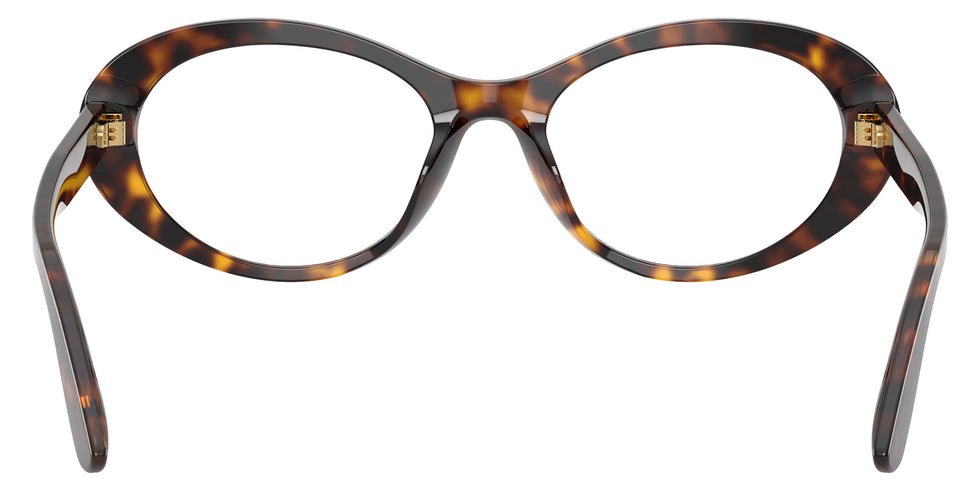 DOLCE&GABBANA DG3450 502 53 - Havana #id:dg3450502_s:108115