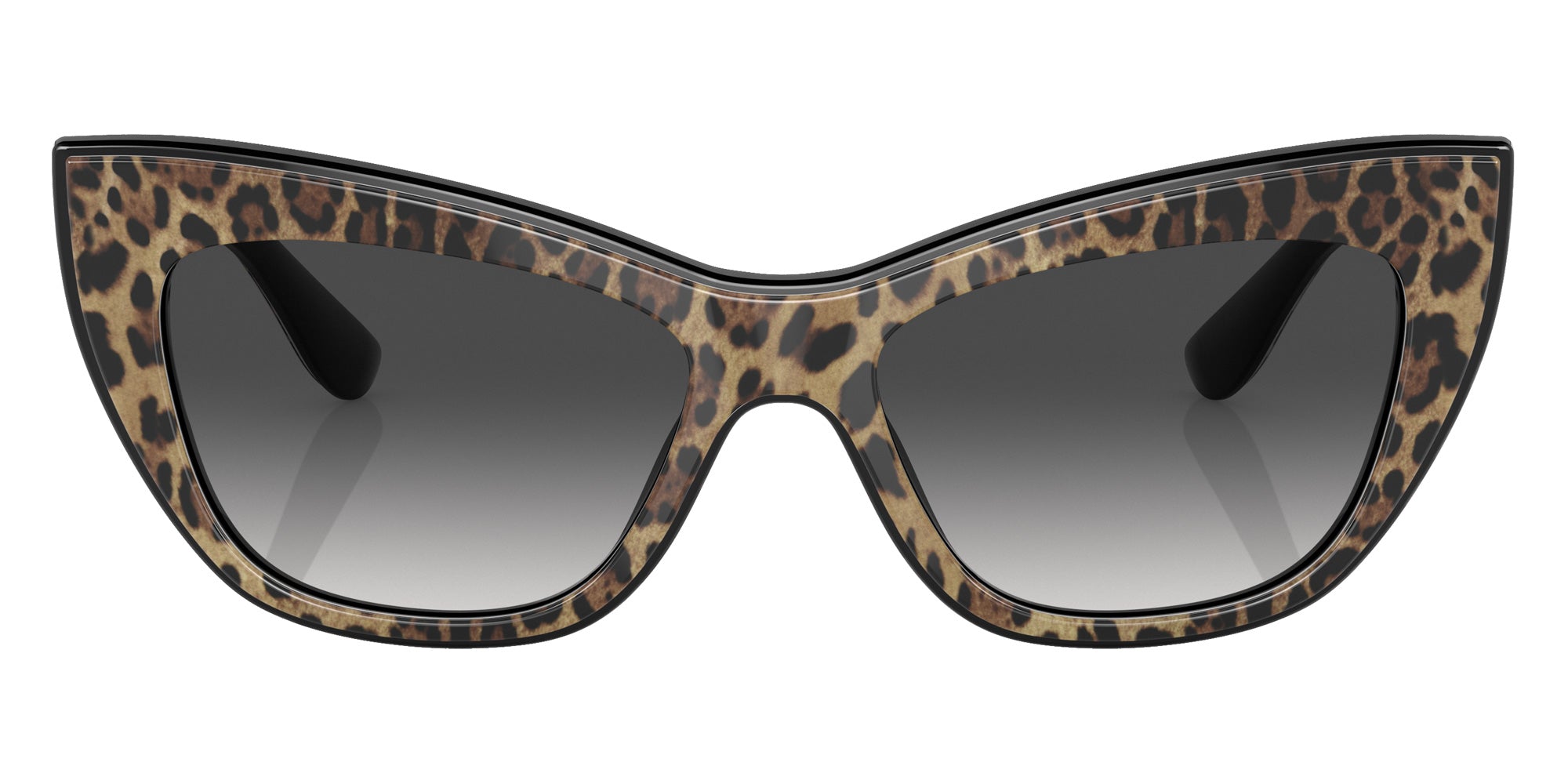 DOLCE & GABBANA DG4417 31638G 54 - Leo Brown/Black / Gray Gradient #id:dg441731638g_s:100100