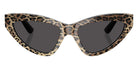 DOLCE & GABBANA DG4439 316387 55 - Leo Brown on Black / Dark Gray #id:dg4439316387_s:100100