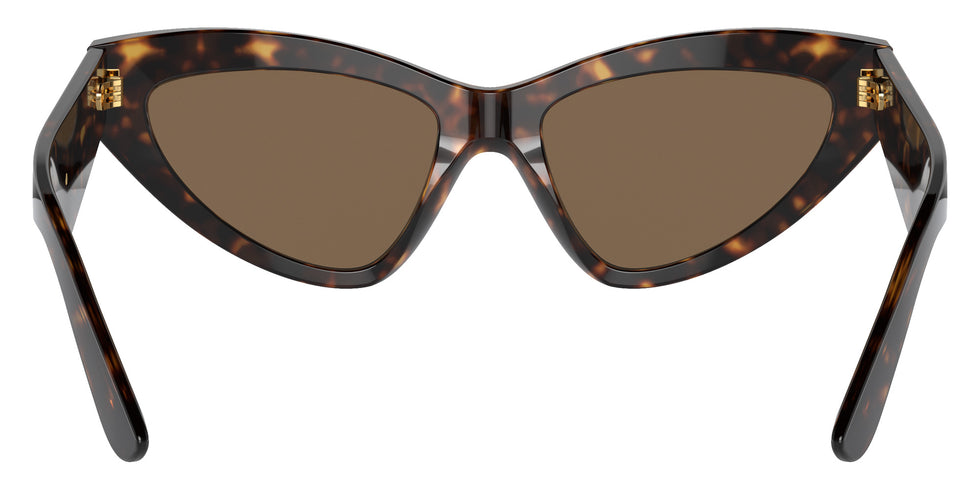 DOLCE & GABBANA DG4439 502/73 55 - Havana / Dark Brown #id:dg443950273_s:104115