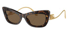 DOLCE & GABBANA DG4467B 502/73 55 - Havana / Dark Brown #id:dg4467b50273_s:102105