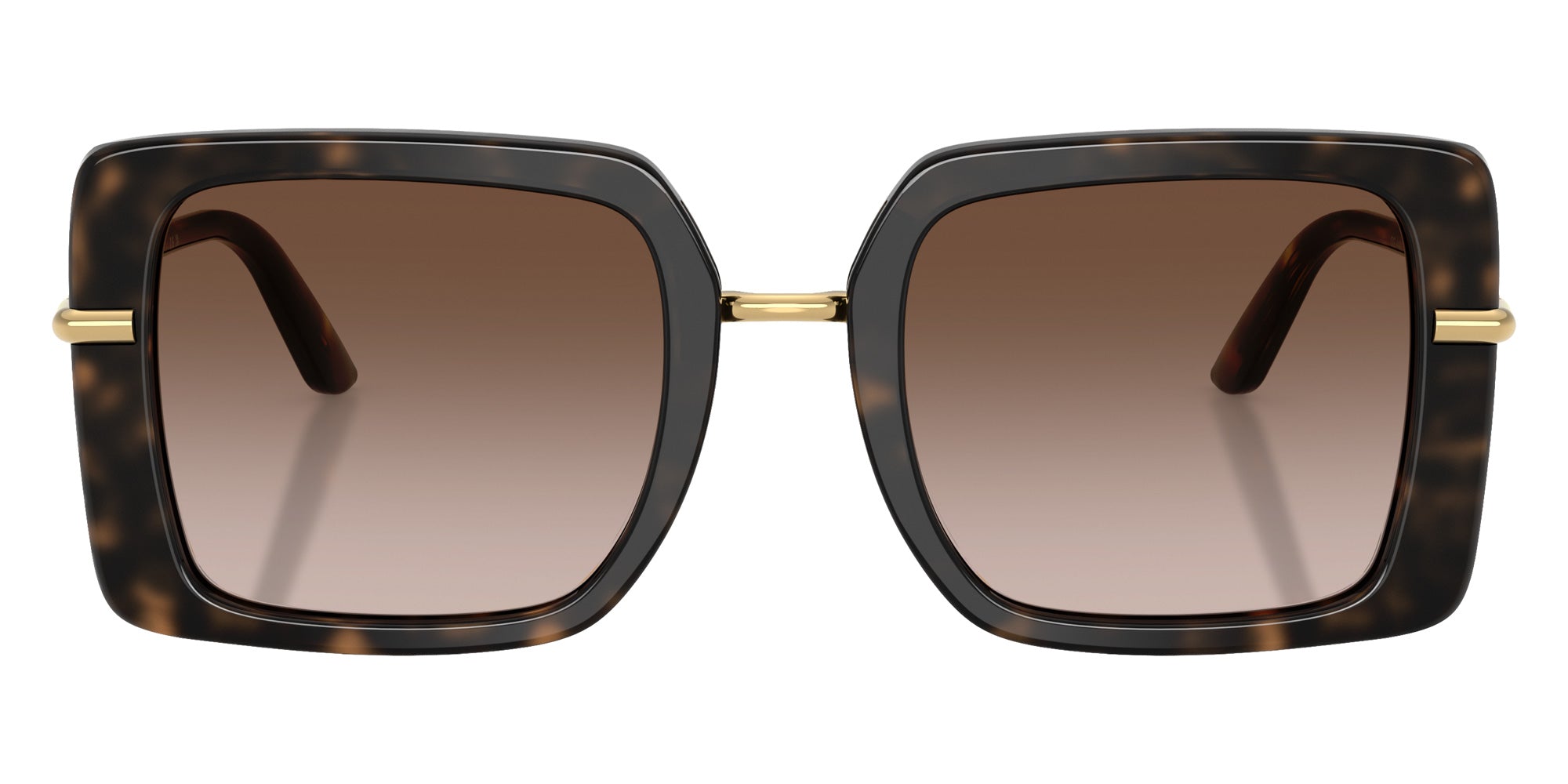 DOLCE & GABBANA DG4491 321713 52 - Havana on White Barrow / Brown Gradient #id:dg4491321713_s:100100