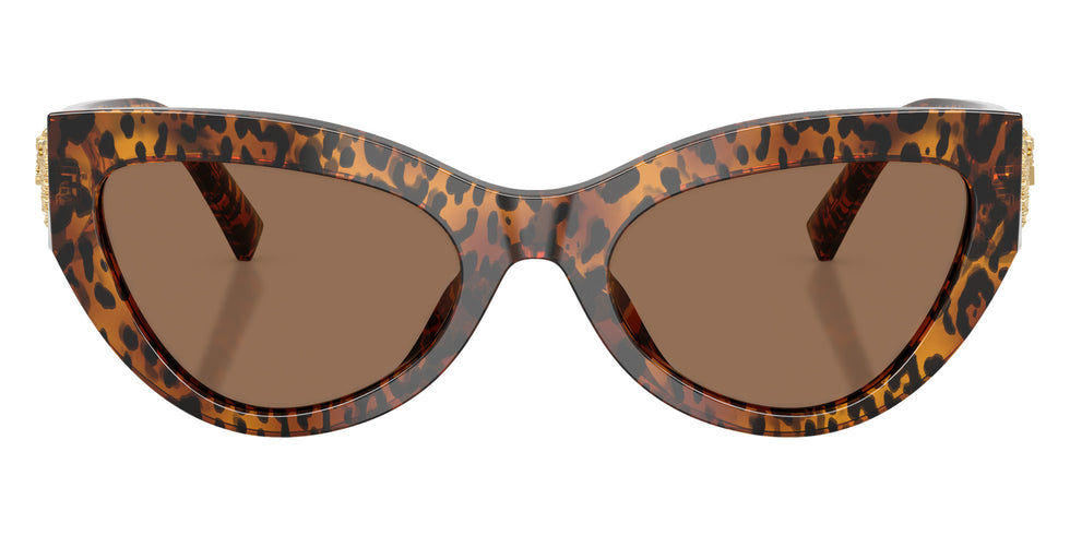 DOLCE&GABBANA DG4536 347073 55 - Leo Transparent #id:dg4536347073_s:104120