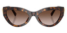 DOLCE&GABBANA DG4536 502/13 55 - Havana #id:dg453650213_s:108120