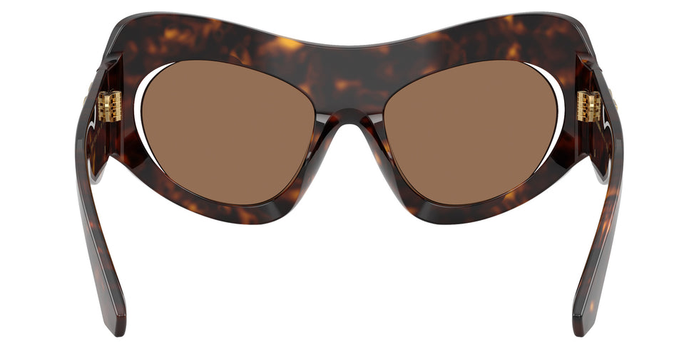 DOLCE&GABBANA DG4552 502/73 53 - Havana #id:dg455250273_s:102115