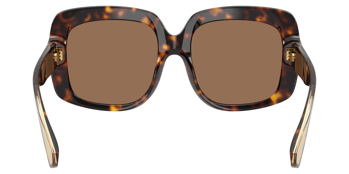 DOLCE&GABBANA DG4557 502/73 55 - Havana / Dark Brown #id:dg455750273_s:106115