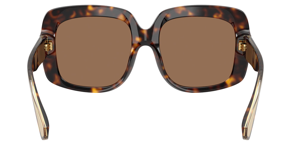 DOLCE&GABBANA DG4557 502/73 55 - Havana / Dark Brown #id:dg455750273_s:106115