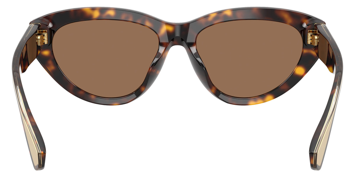 DOLCE&GABBANA DG4558 502/73 54 - Havana / Dark Brown #id:dg455850273_s:106115
