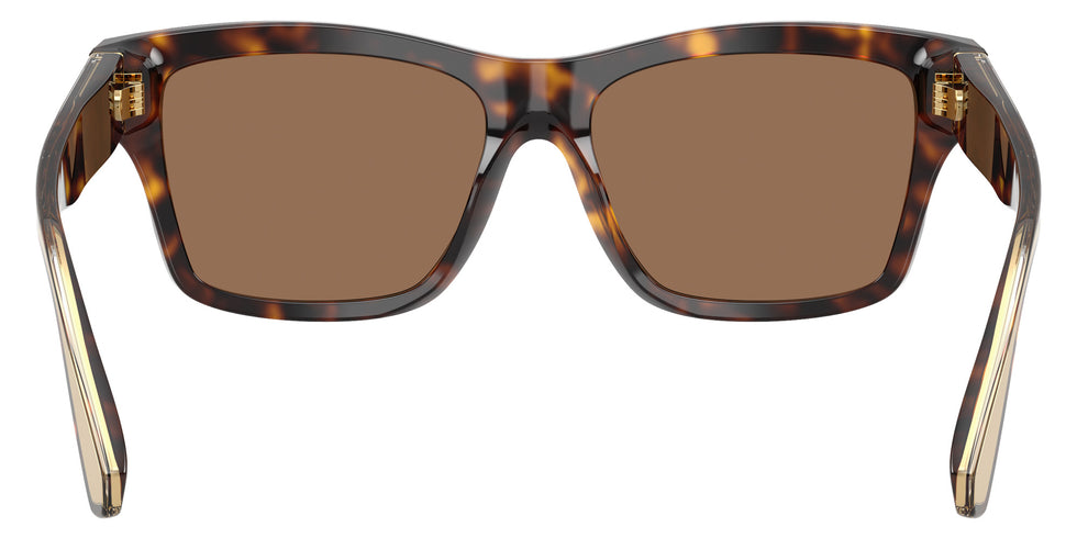 DOLCE&GABBANA DG4559 502/73 55 - Havana / Dark Brown #id:dg455950273_s:106115