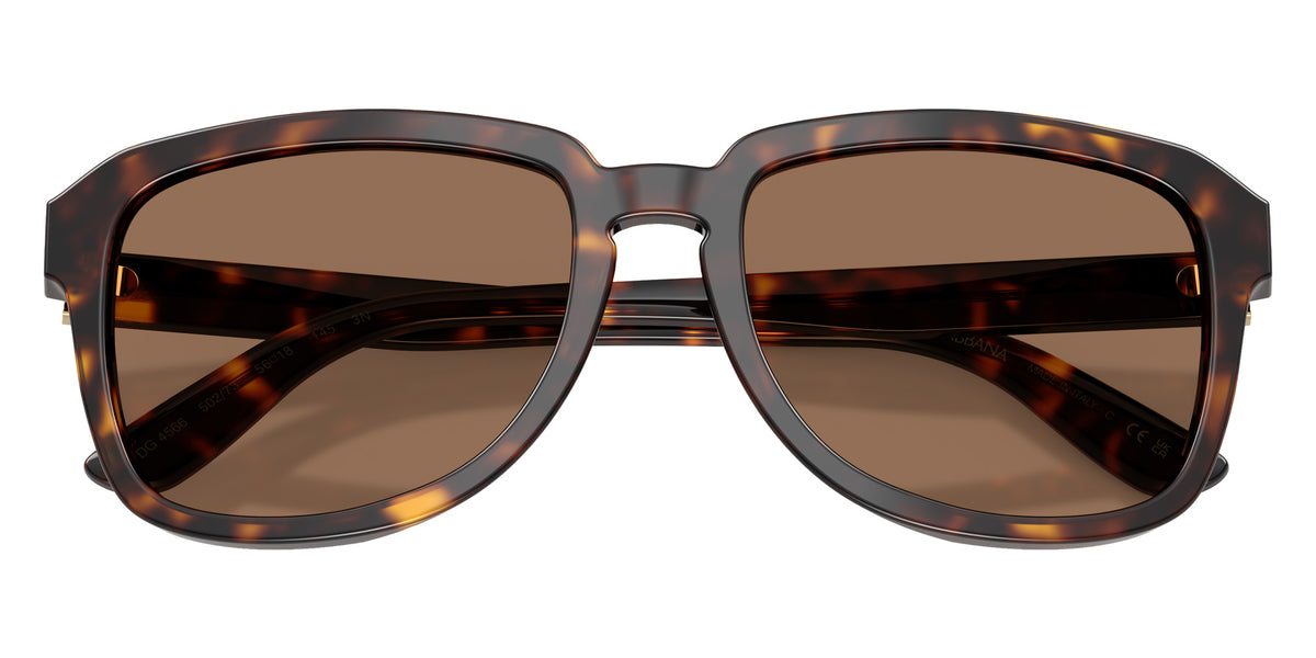 DOLCE&GABBANA DG4566 502/73 56 - Havana / Dark Brown #id:dg456650273_s:108120