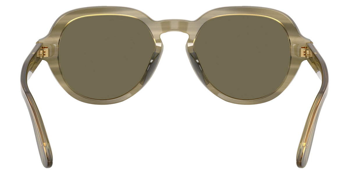 DOLCE&GABBANA DG4567 3480/3 52 - Transparent Green on Striped Green / Brown #id:dg456734803_s:100115
