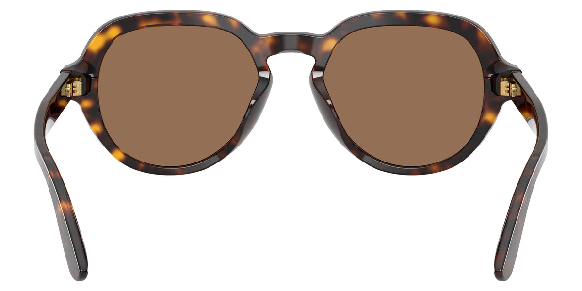 DOLCE&GABBANA DG4567 502/73 52 - Havana / Dark Brown #id:dg456750273_s:108115