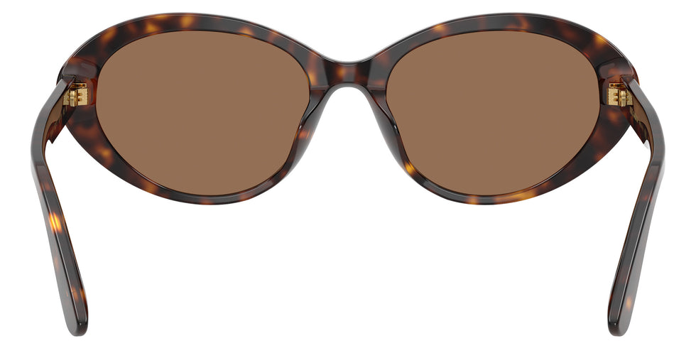 DOLCE&GABBANA DG4570 502/73 53 - Havana / Dark Brown #id:dg457050273_s:108115