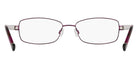 DKNY DK3009 550 55 - Satin Violet #id:dkdk3009550_s:102120