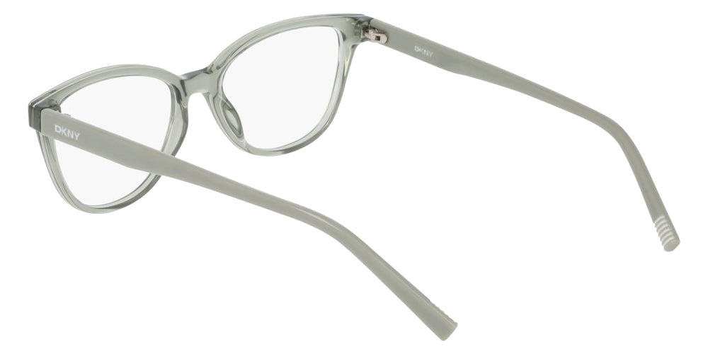 DKNY DK5089 310 53 - Sage #id:dkdk5089310_s:102115