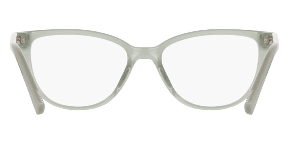 DKNY DK5089 310 53 - Sage #id:dkdk5089310_s:102120