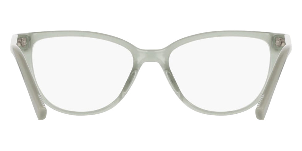 DKNY DK5089 310 53 - Sage #id:dkdk5089310_s:102120