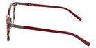 DKNY DK5090 656 55 - Rose Tortoise #id:dkdk5090656_s:106110