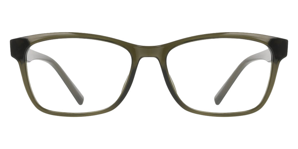 DKNY DK5099 330 54 - Crystal Olive #id:dkdk5099330_s:104100
