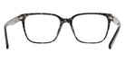 DKNY DK5101 010 54 - Black Tortoise #id:dkdk5101010_s:100120