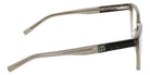 DKNY DK5101 310 54 - Crystal Sage #id:dkdk5101310_s:104130