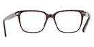 DKNY DK5101 540 54 - Plum Tortoise #id:dkdk5101540_s:106120