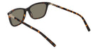 DKNY DK558S 237 53 - Dark Tortoise #id:dkdk558s237_s:102115