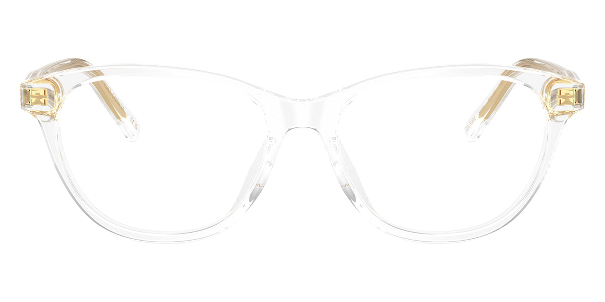 DOLCE&GABBANA DX3002 3133 48 - Crystal #id:dx30023133_s:100100