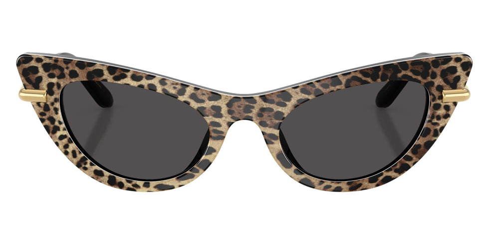 DOLCE & GABBANA DX4008 316397 44 - Leo Brown on Black / Dark Gray #id:dx4008316397_s:100100