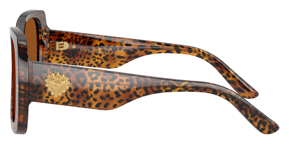 DOLCE&GABBANA DX4012 347073 50 - Leo Transparent / Dark Brown #id:dx4012347073_s:104110