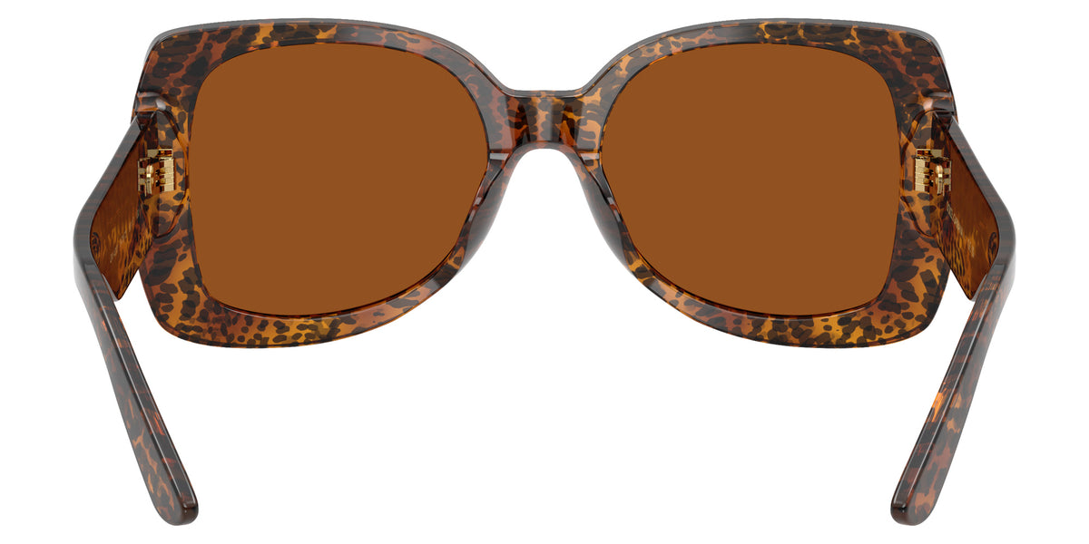 DOLCE&GABBANA DX4012 347073 50 - Leo Transparent / Dark Brown #id:dx4012347073_s:104115