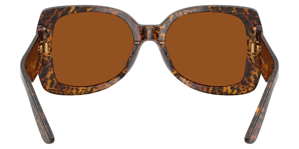 DOLCE&GABBANA DX4012 347073 50 - Leo Transparent / Dark Brown #id:dx4012347073_s:104115