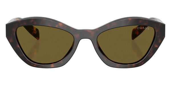 Root Tortoise / Dark Brown / 52-19-140