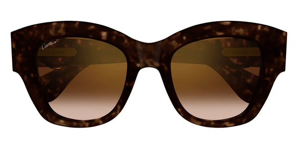 Havana / Brown Multi Treatment / 52-21-140