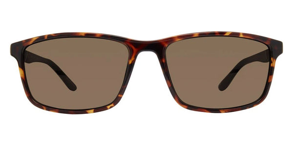 Havana / Bronze Polarized / 60-18-150