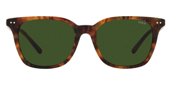 Shiny Jerry Havana and Shiny Dress Gordon / Brown / 53-18-145